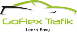 webshops goflex trafik learn easy logo